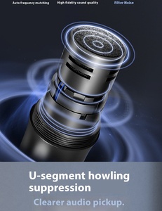 Hệ thống micro không dây 2.4GHz TopYun LS04 có thể sạc lại với 4 micro cầm tay dành cho biểu diễn sân khấu chuyên nghiệp và karaoke - Product Image 2