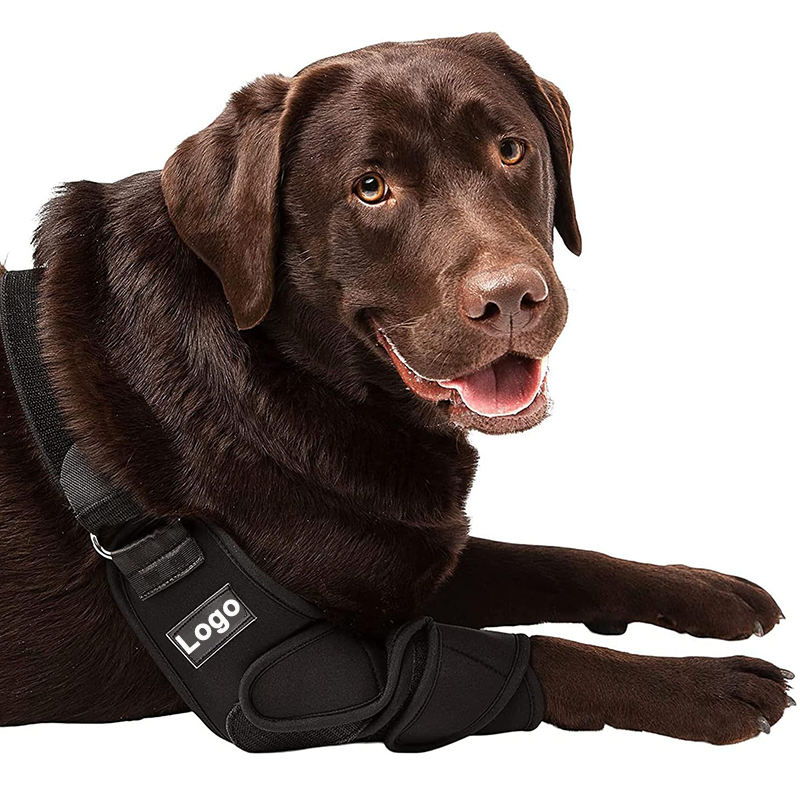 ดำ-ขาขวา