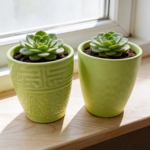Pot de fleurs <span class=keywords><strong>en</strong></span> céramique émaillée vert printemps HARVIT Stone Clay / Pots de fleurs personnalisés / Pots de <span class=keywords><strong>jardin</strong></span> rustiques - Écologiques et durables - Product Image 1