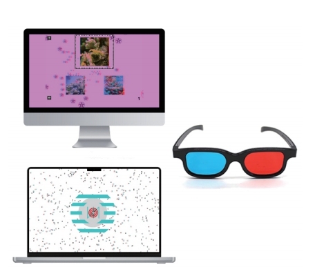 Visual Function Training and Treatment Software