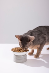 Croquettes pour <span class=keywords><strong>chat</strong></span> sans céréales, formule complète, anti-allergènes Fel D Series, nourriture pour <span class=keywords><strong>chat</strong></span> de qualité supérieure, ingrédients frais de poulet, haute teneur en protéines, personnalisable - Product Image 5
