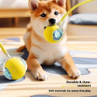 Luxe résistant aux morsures automatique Teaser balle chat jouet haute auto-amusement soulagement corde à sauter fournitures pour animaux de compagnie