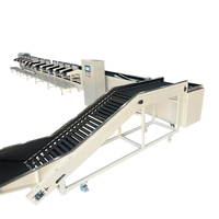 Fruit Sorteermachine Apple Sortering Lijn Automatische Fruit En Groente Reinigings-En Sorteermachine