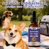 Gouttes antibiotiques pour animaux de compagnie, huile de poisson pure naturelle pour chiens et chats, soutien immunitaire, santé digestive, compléments alimentaires liquides