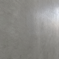 Apprêt mural anti-moisissure et anti-alcali transparent, couche de base d'étanchéité pour usage intérieur/extérieur sur ciment, enduit, brique, revêtement imperméable