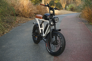 จักรยานไฟฟ้าไฮบริด 73 รุ่น Super Dual Battery ล้อโต 20 นิ้ว ยาง Fat Tire มอเตอร์หลัง 1000 วัตต์ ระยะทางไกล 7 สปีด - Product Image 4