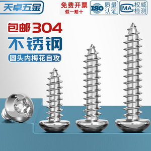 304 Stainless Steel Pan Head Torx <b>Screw</b> M2 M2.6 <b>M3</b> M4 M5 M6 Anti-theft Self Tapping Wood <b>Screws</b> Metric Round Head - Product Image 3