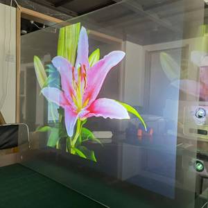 Película Adhesiva de Proyección Trasera de Color Oscuro, Holograma 3D, Película de Pantalla de Proyección Trasera Suave de 360 Grados para Vidrio de Ventana - Product Image 3