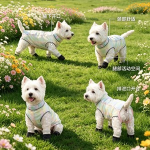 Pantalones Impermeables y Ligeros para Perros Golden Pet, con Protección Contra el Polvo, para Verano, con Compatibilidad con Correa, Diseño a Cuadros Verde y Azul - Product Image 1