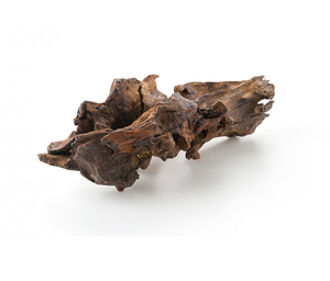 Extrait de racine de Rhodiola naturelle séchée, qualité alimentaire, ingrédient botanique adaptogène pour la formulation d'aliments fonctionnels - Product Image 3