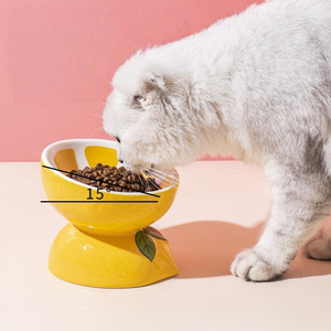 Eco-Friendly Ceramic <b>Cat</b> Bowl Elevated Slanted Neck Protection Food Water Feeder Fruit Design Pet Dish Pet Accessories Supplies - Product Image 5