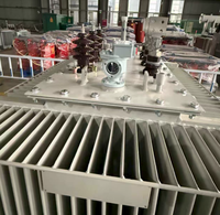 Transformateurs immergés dans l'huile Copper S22-M-1250/10