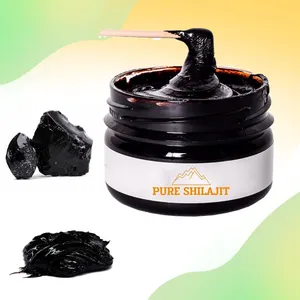 OEM Label pribadi organik kapsul Shilajit murni Resin murni kualitas tinggi