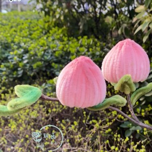 DIY 5-7 - Product Image 2
