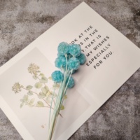 Lovebay Groothandel Gedroogde Bloem Geconserveerde Scabiosa Voor Decoratie Natuurlijk Geconserveerde Windmolen Bloem Voor Bruiloft Home Office Party