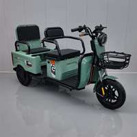 Tricycle Électrique à 3 Roues Direct Usine 60V 501800W 2 Places Rickshaw Batterie Plomb-Acide/Lithium 20Ah/32Ah Passagers et Marchandises