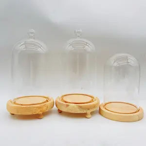 Handmade Bell Cloche Glass Dome With Wooden Base Transparent Custom Size Fiber Glass Dome