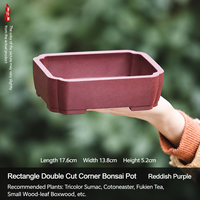 Pot Bunga Resin Gaya Cina Kreatif Bentuk Persegi untuk Anggrek, Sukulen & Kaktus dengan Desain Pengatur Akar