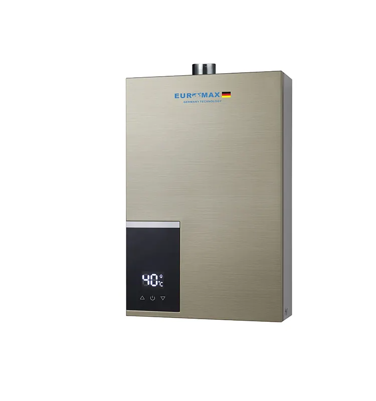 High Quality Tankless Wall Balanced Exhaust Gas Water Heater 10 liter Instant Gas Water Heaters For Home