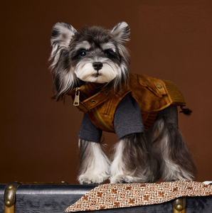 Ropa para perros Traje de invierno Schnauzer Oso de peluche Bichon Frise Moderno de lujo Ecológico Chaleco de cuero sin mangas - Product Image 6