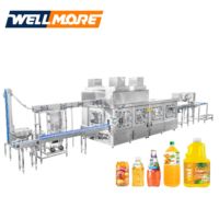 Machine de remplissage de jus de Noni automatique de ligne entière 12-40 têtes 3In1 ou équipement de machine d'embouteillage