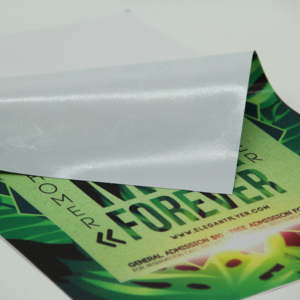 กระดาษ<span class=keywords><strong>โปสเตอร์</strong></span>เคลือบผิวสำหรับพิมพ์อิงค์เจ็ทแบบกันน้ำ เคลือบด้าน สำหรับพิมพ์ภาพถ่ายและโปสเตอร์ - Product Image 3