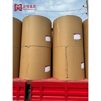 Nouveau papier en rouleau kraft brun de haute qualité HM HM-R, enduit de résine, pour coussinets de refroidissement pour porcs et poulets, garantie de 2 ans
