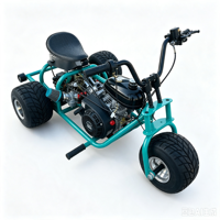 Triciclo de derrape a gas para adultos, kart todoterreno de 3 ruedas, vehículo mini de carreras para todo tipo de terrenos y la