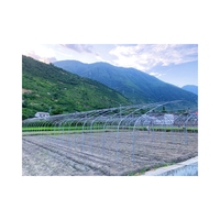 Serre tunnel simple en PE à prix abordable, facile à assembler, vente en gros d'usine pour les fournisseurs agricoles mondiaux