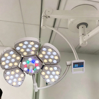 Lampe chirurgicale LED pour hôpital, éclairage médical sans ombre pour bloc opératoire, équipement vétérinaire oral pour animaux, mobile et monté au plafond