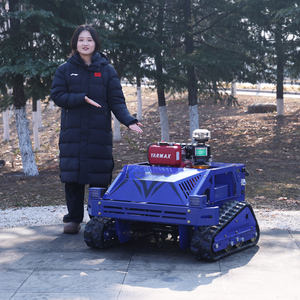 <span class=keywords><strong>Tondeuse</strong></span> à gazon télécommandée à vente chaude en usine avec une largeur de coupe automatique de 550 mm, <span class=keywords><strong>tondeuse</strong></span> à gazon, machine à couper l'herbe, <span class=keywords><strong>tondeuse</strong></span> à fléaux - Product Image 2