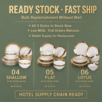 Service de table en porcelaine de qualité commerciale, 18 pièces, en nouvelle porcelaine fine avec bordure dorée électro-plaquée, pour hôtel et restaurant
