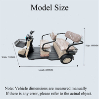 Mini tricycle électrique 1000W pour adultes, 3 places, 3 roues, tout-terrain, scooter de mobilité ouvert pour le tourisme et le transport