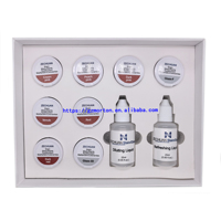 Technicien Laboratoire Universel Gingival Stain 6 Couleur Gommes + 2 Glaçure Set pour la Coloration Esthétique de la Couronne Intérieure
