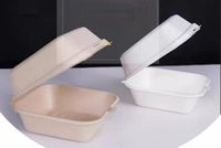 Assiettes jetables en bagasse de canne à sucre biodégradables et compostables avec logo personnalisé pour événements de marque 6x6 pouces