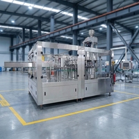 Máquina de Llenado Automático Monobloque CE para Líquidos, Llenado, Soplado y Tapado, 10000 BPH, Línea de Producción de Agua, Jugo y Té en Envases PET