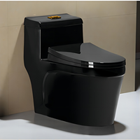 Fourniture de toilettes à siphon en une pièce au design élégant Toilettes allongées en filigrane noir avec siège et placard à eau à vendre