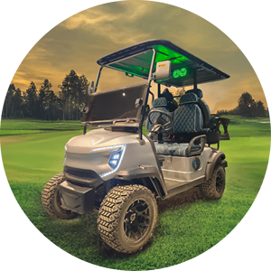 Chariot de golf électrique 6 places personnalisable de couleur bon marché approuvé CE 36V - Product Image 4