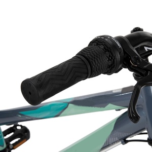 Diseño Popular Adultos Aleación Acero 21 Velocidad Twist Shifting Lineal Pull Manual Pedaling en venta - Product Image 4