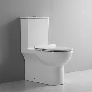 Soft Closing Seat Cover Sanitary Toilet Of Rimless Sanitary Wc with Back To Wall P Trap Toilet and Two Piece Toilet