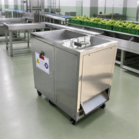 Automatische bananen schilmachine, groene plantainschiller, 150kg/u, roestvrij staal, voor bananenchips productielijn