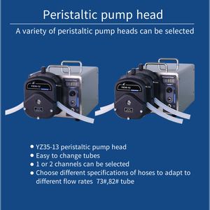 Ditron-tech Chinese Factory Large High Flow Peristaltic <b>Pump</b> WG600-2J Large Peristaltic <b>Pump</b> WG600-2J - Product Image 3