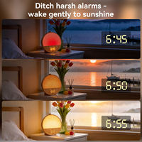 Réveil lumineux avec simulation du lever du soleil, double alarme, 10 sons naturels et veilleuse à intensité réglable