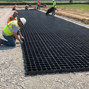 Дренажная травяная решетка из HDPE для парковок и проездов, усиленная, проницаемая, для зеленого озеленения - Product Image 1