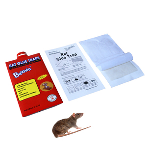 Bstw EPA chứng nhận chuột bẫy <span class=keywords><strong>Killer</strong></span> <span class=keywords><strong>rat</strong></span> Keo Bẫy kiểm soát dịch hại avirulent môi trường Chuột <span class=keywords><strong>Killer</strong></span> - Product Image 1