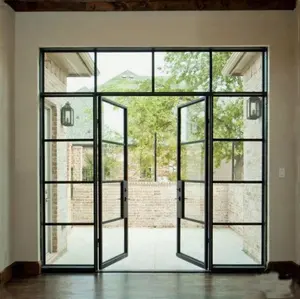 Puertas de vidrio de acero doble para exteriores, puertas francesas de hierro con marco negro de alta calidad
