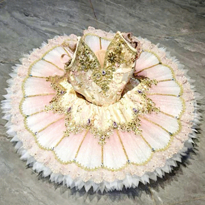 Nouvelle robe de ballet pour filles, costume de spectacle, tutu La Belle au bois dormant, jupe en mousseline, costume de scène Fée des fleurs, préféré pour la danse - Product Image 1