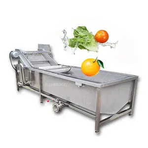 Limpador comercial automático de frutas e vegetais para lavar e fritar frutas e mirtilos, máquina de limpeza de brotos de feijão para venda