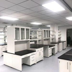 Muebles de Laboratorio de Acero en Venta de Fábrica, Muebles Comerciales, Mesa de Laboratorio de Química con Fregadero, Muebles y Estantes de Laboratorio - Product Image 5