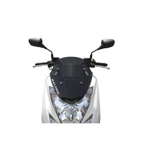 Écran SPORT fumé foncé-largeur 360 x hauteur 410 x épaisseur 3 mm - Product Image 1